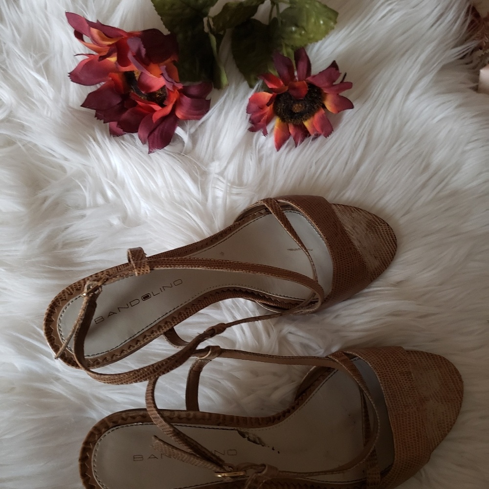 Tan Heels